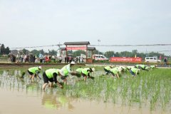<b>将持续抓实春耕出产、稳住粮食出产底盘</b>